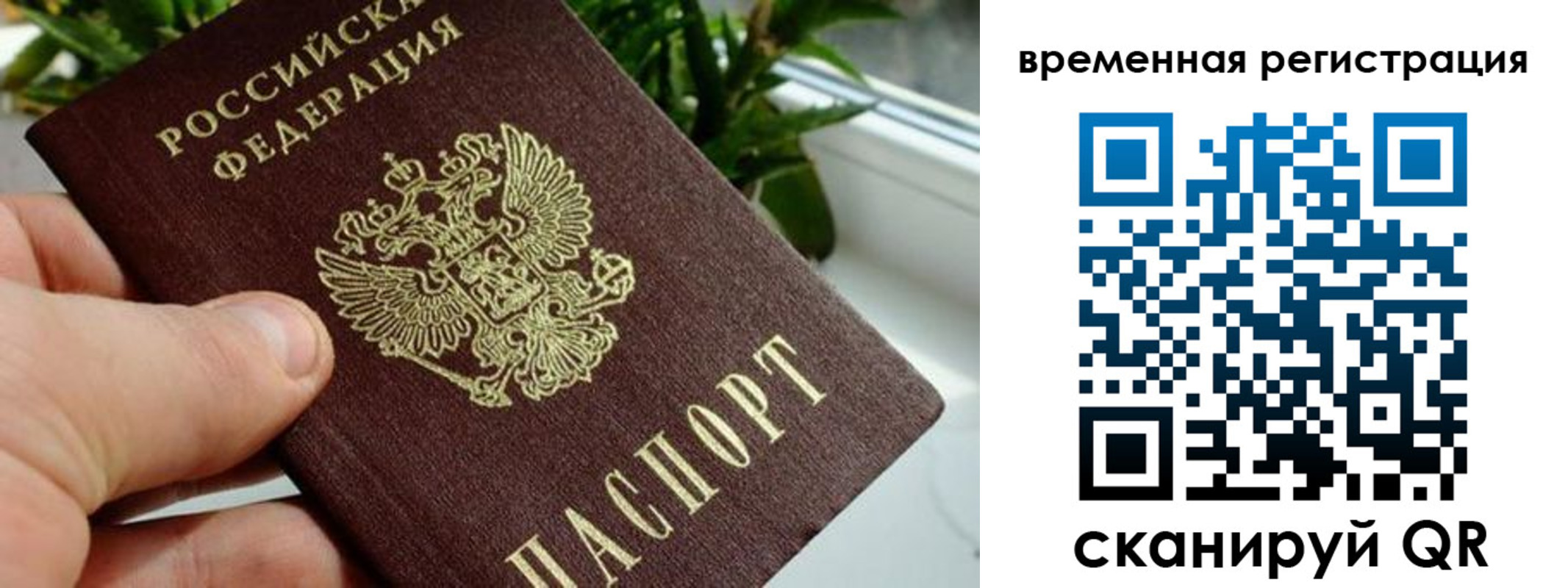 прописка поиск в Козьмодемьянске